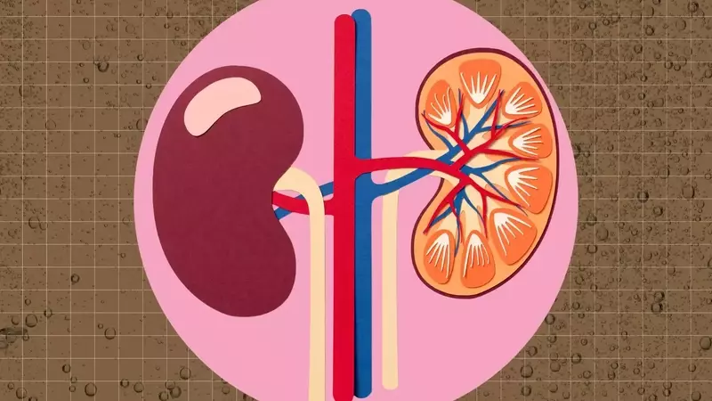 The Impact of Dark Sodas on Kidney Health