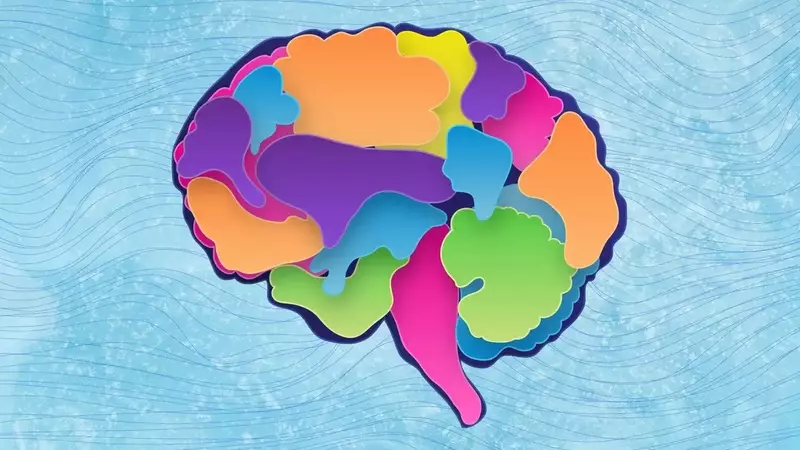 Frozen Salmon: A Brain-Boosting Superfood