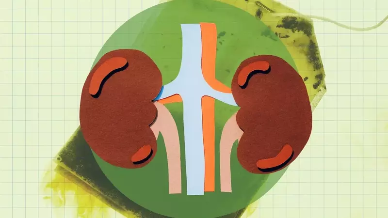 Green Tea: A Potent Ally for Kidney Wellness