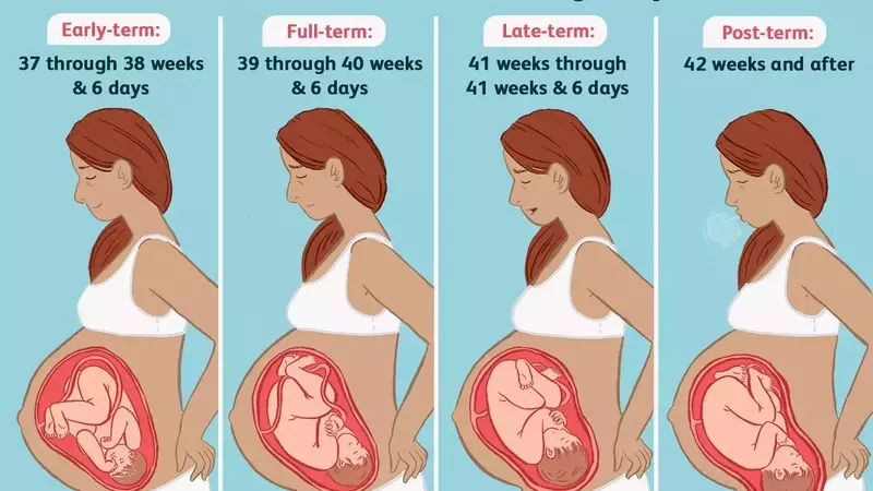 The Importance of Full-Term Pregnancy for Baby's Development