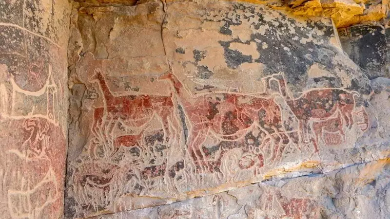 Prehistoric Culinary Sophistication Revealed
