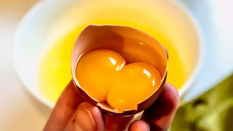 The Enigmatic World of Double-Yolked Eggs