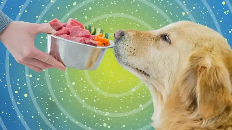 Fresh Dog Food: A Detailed Analysis of Its Benefits and Drawbacks