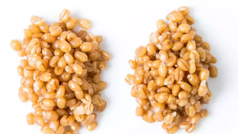 Pressure Cookers and Grains: An Unexpected Outcome
