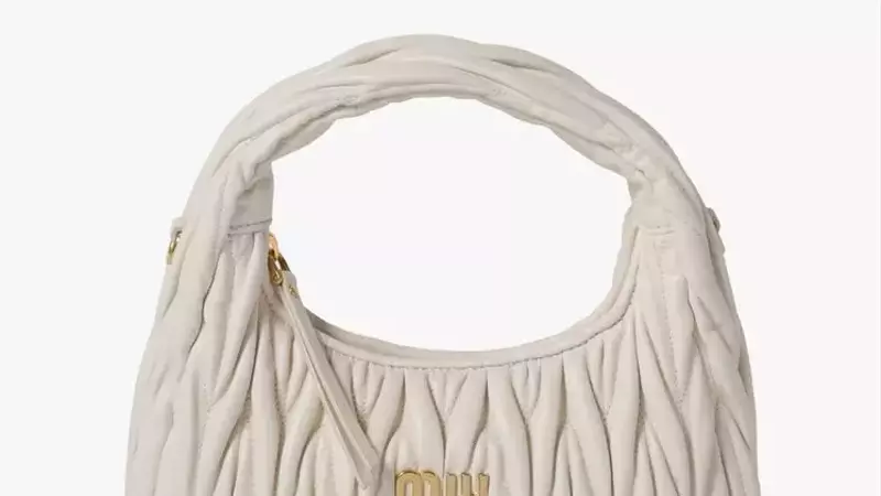 The Enduring Allure of Miu Miu's Wander Bag