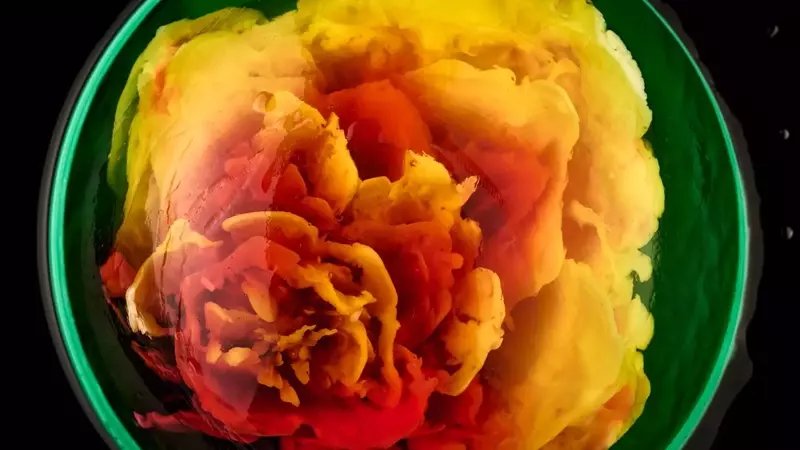 The Art of Jelly: Thu Buser's Edible Masterpieces