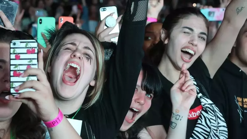 The Evolution of Fandom and its Commercial Impact