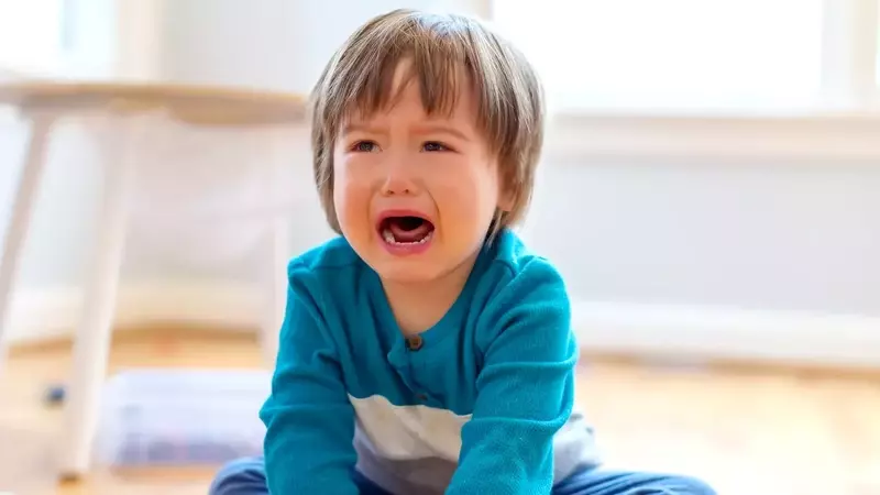 The 'Jessica' Method: A Viral Strategy for Calming Toddler Tantrums