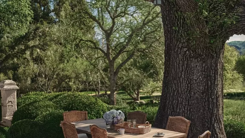 Pamela Anderson Unveils "The Sentimentalist" Furniture Line, Reflecting Her Romantic Spirit and Home Values