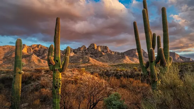 Tucson: The Southwest's Unsung Gem for Travelers