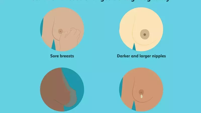 Understanding Breast Transformations During Pregnancy: A Comprehensive Guide