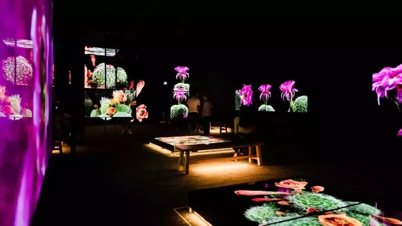 3D Scans Unveil Sonoran Desert's Hidden Life, Informing Conservation Efforts