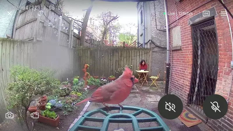 The Unexpected Joy of Birdwatching and its Influence on Fashion