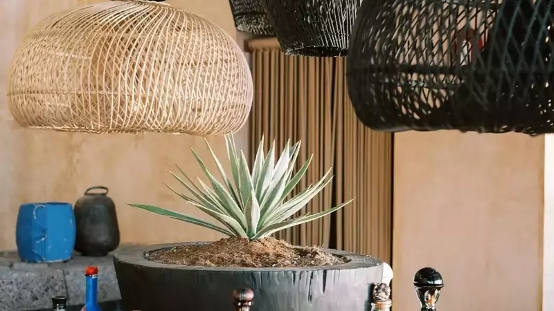 Rosewood Mandarina: A Culinary Journey in Riviera Nayarit
