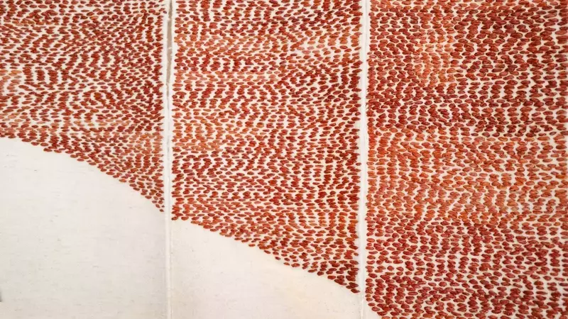 Moroccan Artist Amina Agueznay to Debut Nation's First Venice Biennale Pavilion