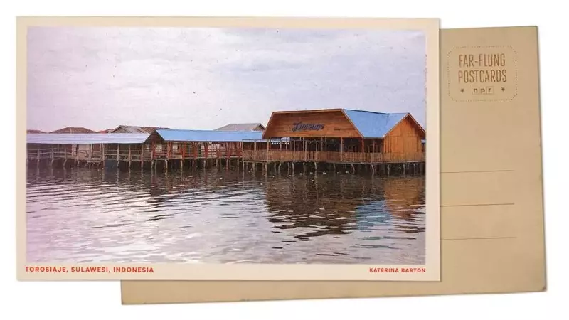 Mangrove Conservation: A Lifeline for Indigenous Fishing Communities in Indonesia