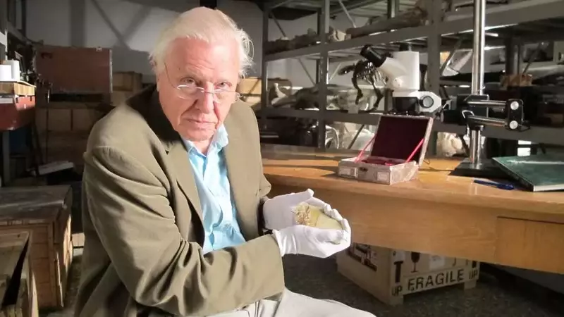 Celebrating Sir David Attenborough's Centennial: A Legacy of Nature and Conservation