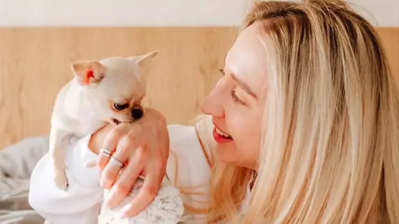 Understanding and Managing Your Dog's Nibbling Behavior