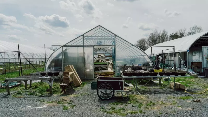 Korean Culinary Masters Establish "First Hand Farm" in Hudson Valley to Cultivate Traditional Ingredients