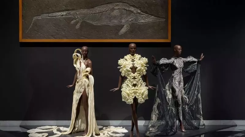 Iris van Herpen's "Sculpting the Senses" Exhibition: A Mid-Career Retrospective at the Brooklyn Museum