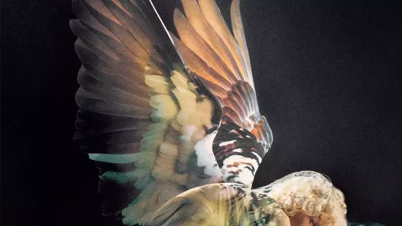 Creator Lab's 10th Season: A Global Showcase of Emerging Photography Talents