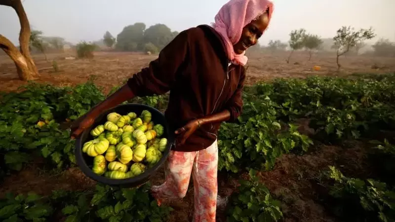 Africa's Path to Food Security: Embracing Agroecology Amidst Fertilizer Crisis