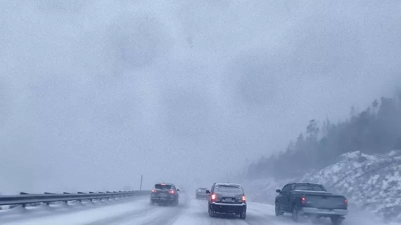 Winter Storm Warning: Up to 15 Inches of Snow Hits Western Mountain States Before Memorial Day Weekend