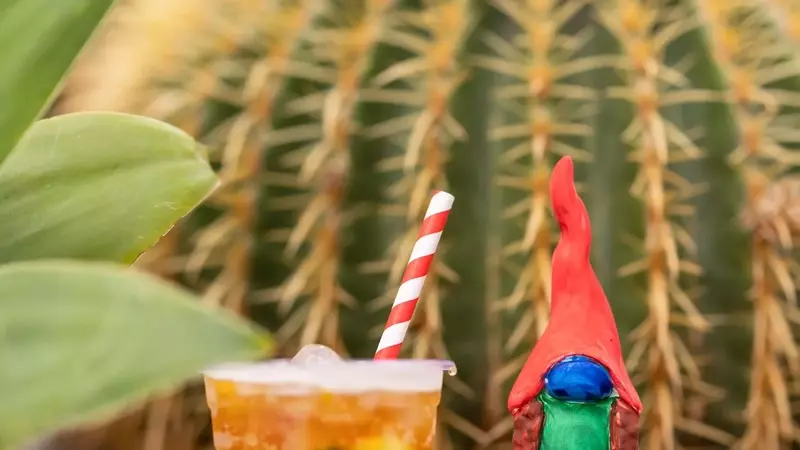 Gnomes Steal the Spotlight at Chelsea Flower Show