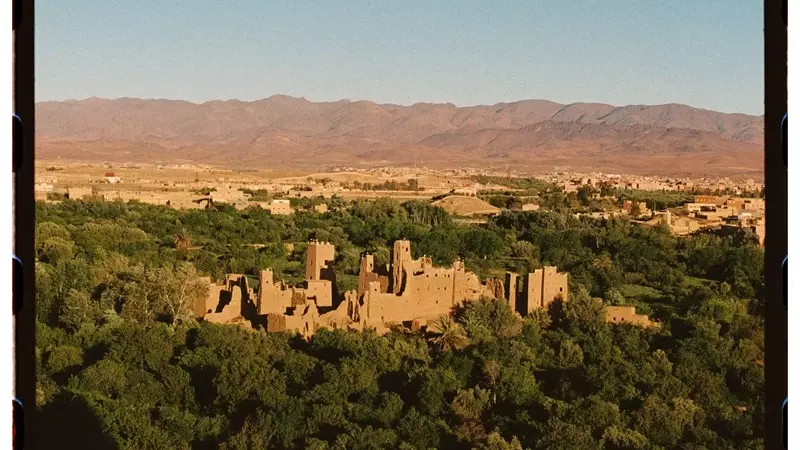 The Enduring Tradition and Evolving Future of Morocco's Rose Valley