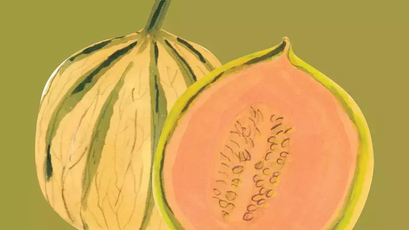 Discovering the Diverse World of Summer Melons