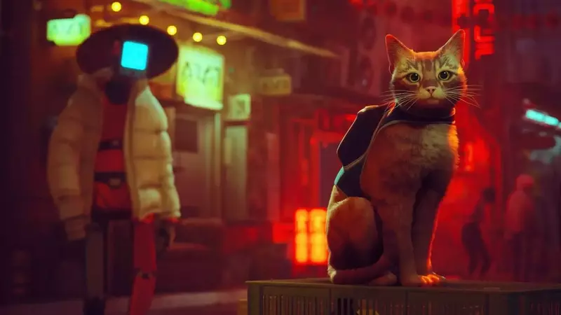 Stray's Nintendo Switch 2 Debut