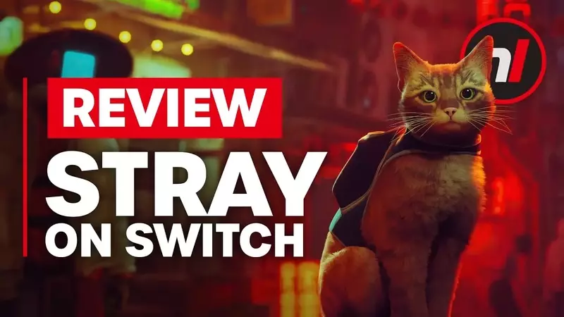 Annapurna Addresses Missing Free 'Stray' Upgrade for Switch 2