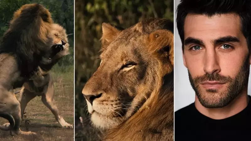 FlareFlow Premieres 'Mapogo: The Lion Throne' Vertical Documentary Series