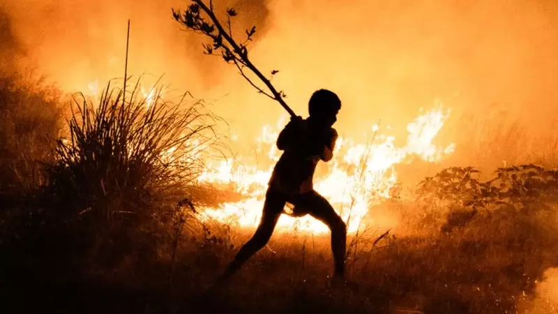 Art Partner Launches 2026 Earth Partner Prize to Empower Youth in Climate Action