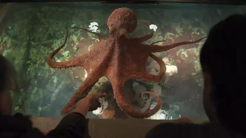 Bringing Marcellus to Life: The VFX Journey of 'Remarkably Bright Creatures'