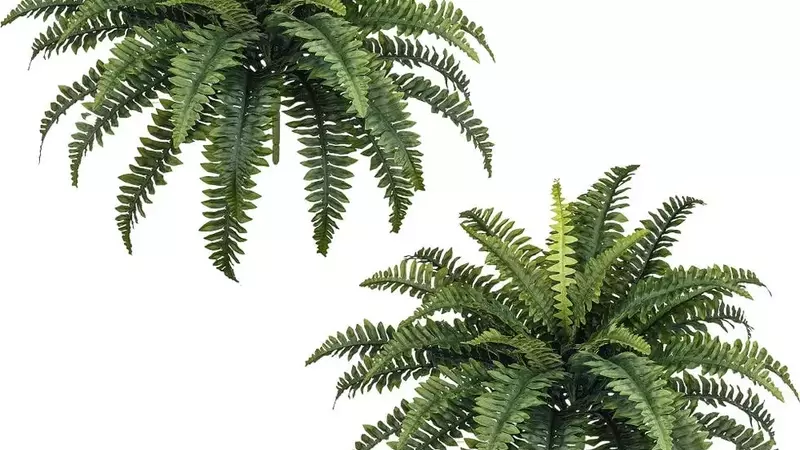 Top Picks: The Most Realistic Artificial Plants on Amazon