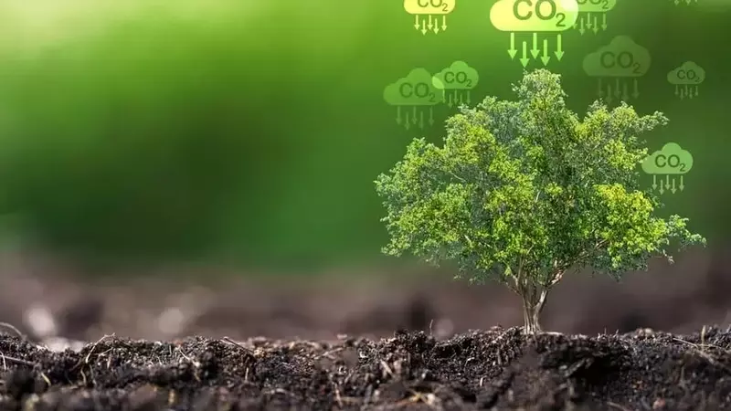 Court Nullifies IRS Rule Impeding Renewable Energy Tax Credits