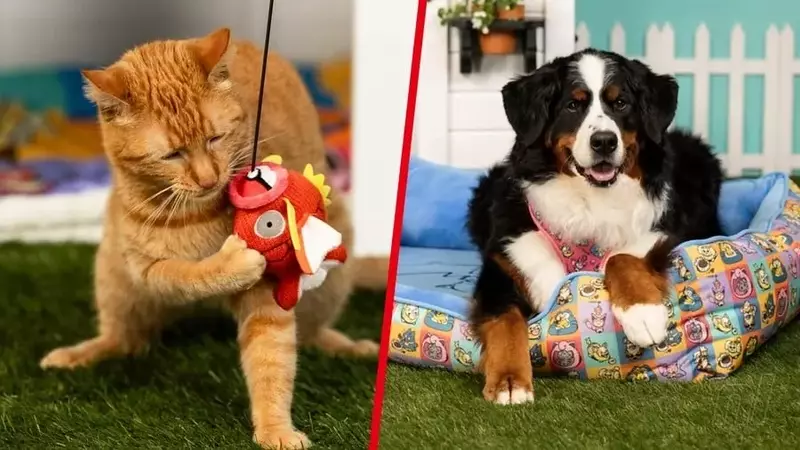 New 'Pokémon Playful Partners' Collection Launched for Pet Owners