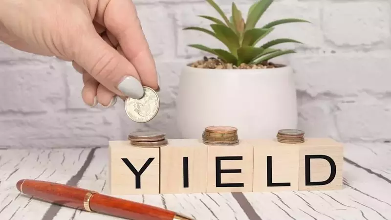 Beyond the Hype: Discovering Value in Overlooked Dividend Stocks