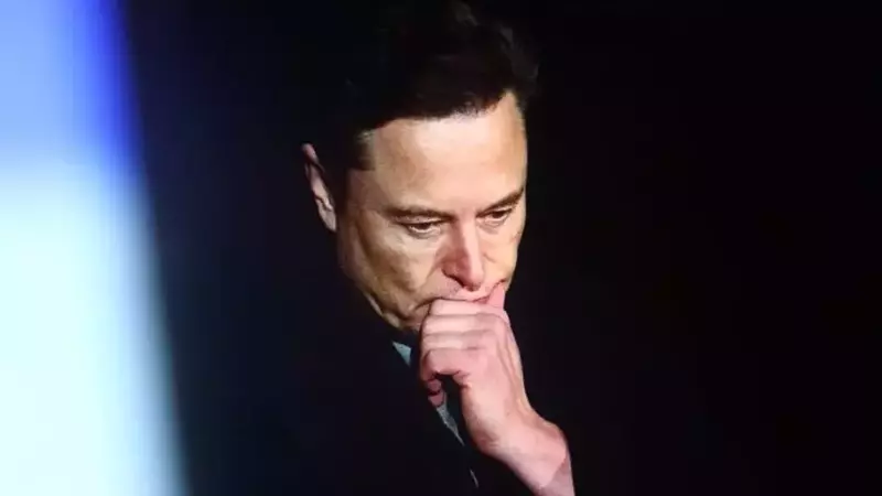 Musk's Subsidy Debate: A Democratic Perspective