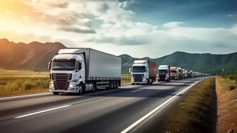 PACCAR's Performance and "HALO Trade" Impact