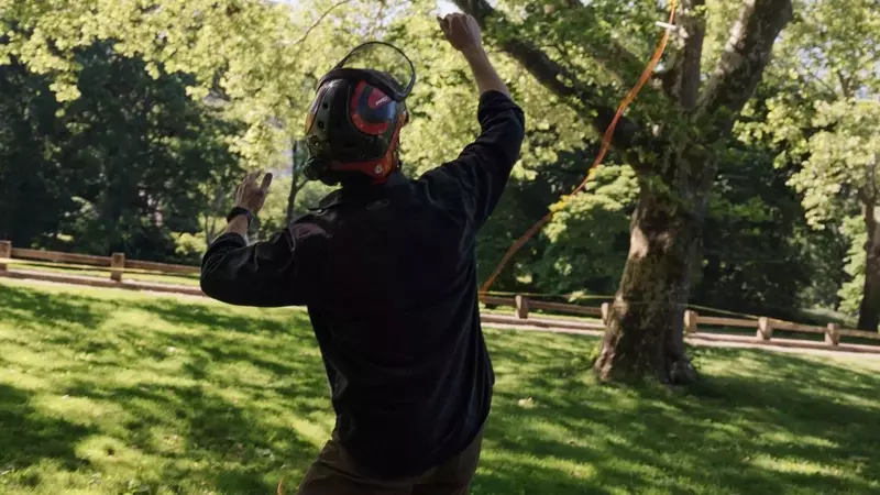 Central Park's Tree Care Team: Unexpected Social Media Stars