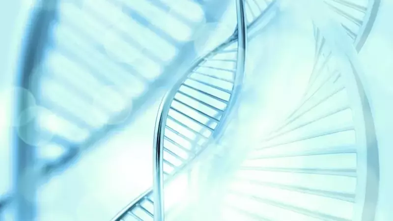 H.C. Wainwright Maintains 'Buy' for Structure Therapeutics (GPCR)