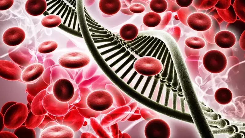 Viking Therapeutics: A Promising Contender in the Obesity Treatment Market with VK2735