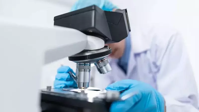 Leerink Maintains Outperform Rating for Crinetics Pharmaceuticals (CRNX) Amidst Rival's Setback