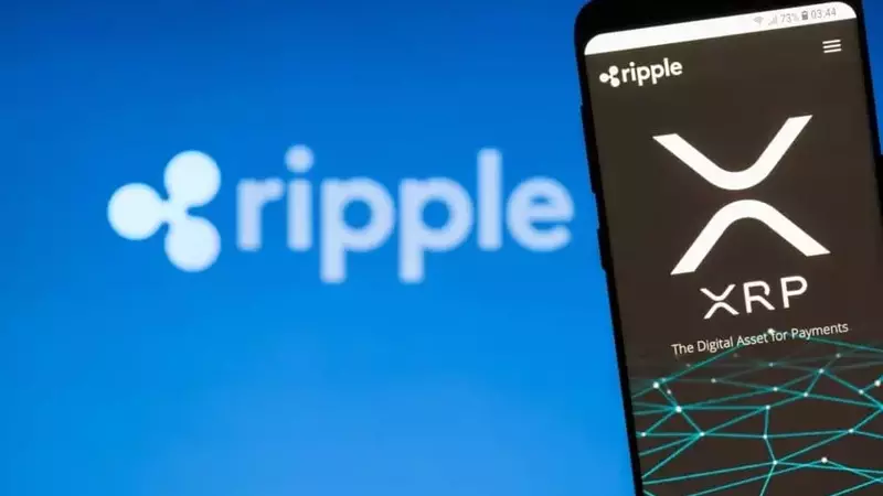 Evernorth CEO Endorses XRP's Potential to Outshine PayPal in Digital Finance