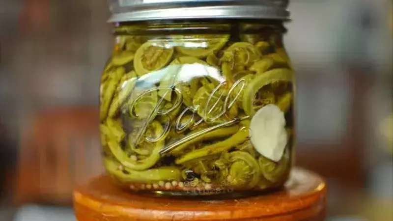 Preserving Spring's Bounty: A Guide to Pickled Fiddlehead Ferns