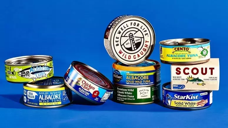 Effortless Tuna Patties: A Speedy Culinary Delight