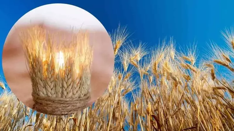 Cinque Splendide Idee Fai-da-Te per Arredare con Spighe di Grano