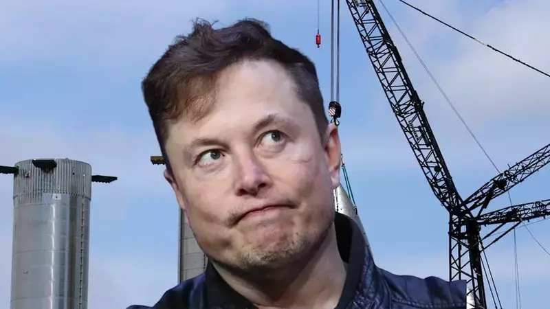 Musk Urges Patience for Tesla's Optimus and Robotaxi Innovations